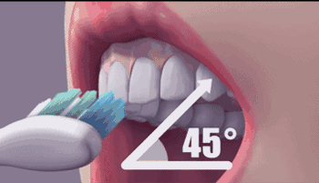 刷牙前需要蘸水吗？今天就给你准确答案！(图4)